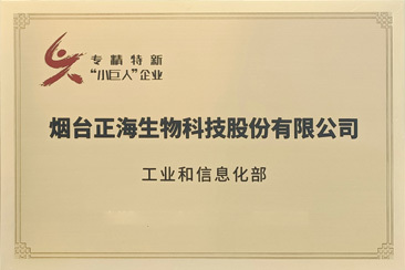 国家第一批专精特新“小巨人”企业