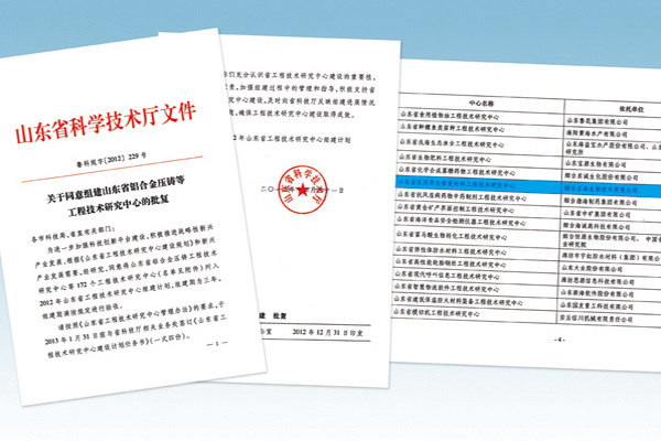 山东省工程技术研究中心的批文
